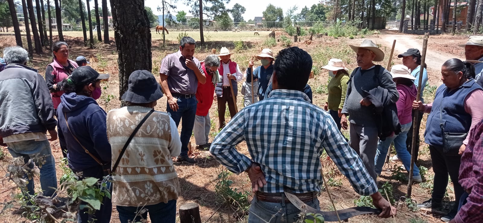 Profesionales realizando una actividad técnica de campo
