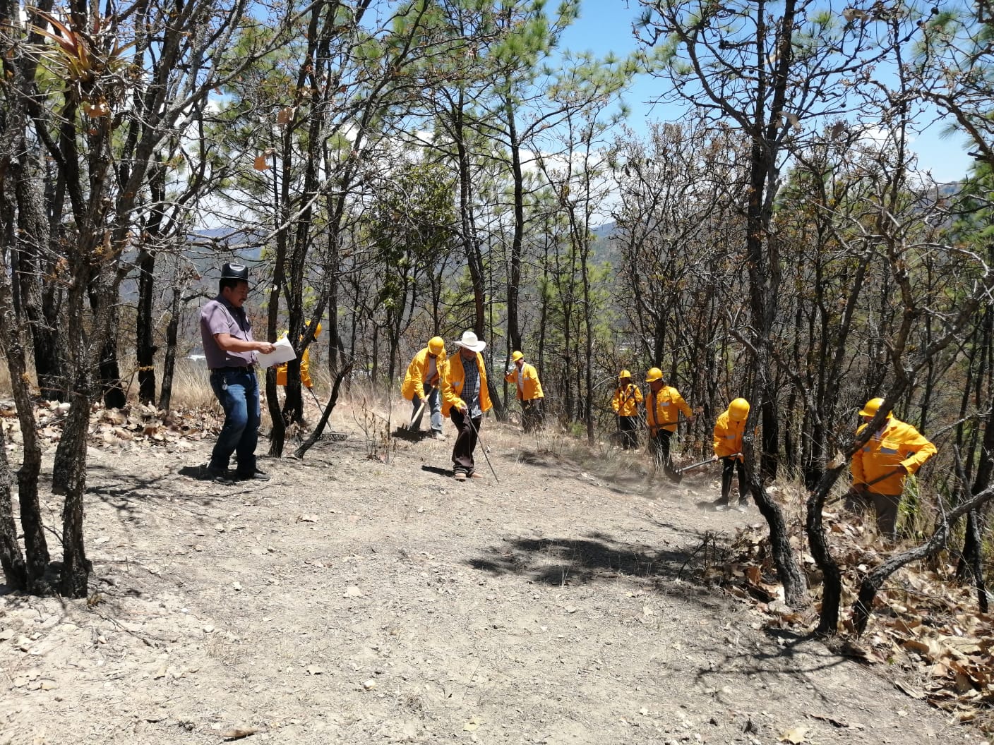 Brigada durante una actividad de campo