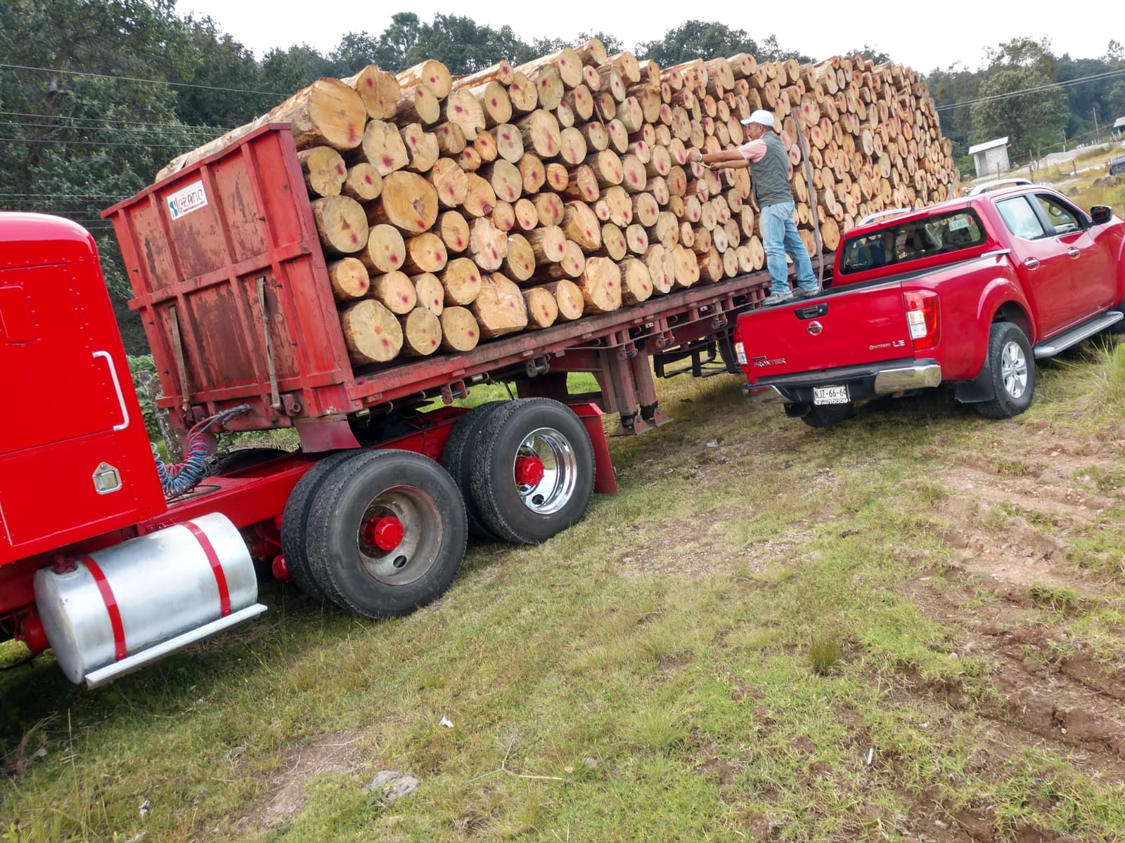 Vehículo utilizado para el transporte de madera